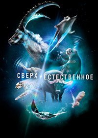 Постер к сериалу "Сверх/Естественное"